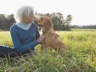 120 Dog Names That Start With R