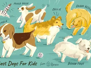 15 Best Dog Breeds for Kids and Families