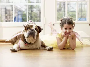 10 Best Medium-Sized Dogs for Kids