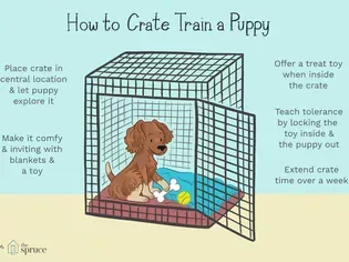 Crate Training Your Puppy