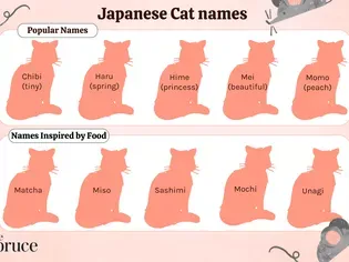 75 Japanese Cat Names