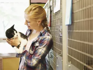 What to Expect When You Bring Home a Shelter Cat