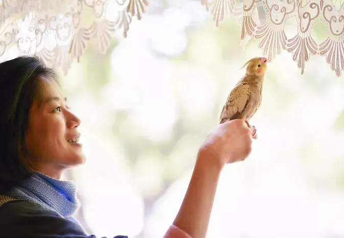 Clipping a Bird's Wings