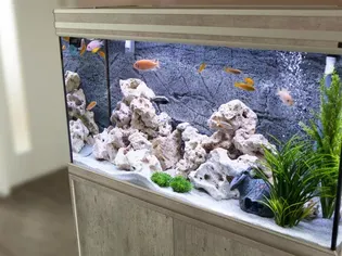 How to Stock an Aquarium With Different Levels of Fish