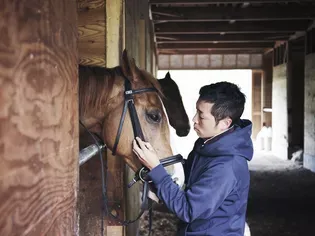 Common Causes of Sudden Death in Horses