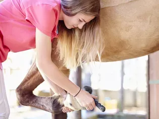 Cleaning Your Horse's Hooves