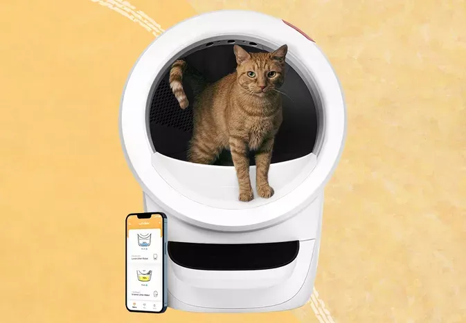 Litter-Robot 4 vs. Leo's Loo Too: Which Automatic Litter Box Is Better?