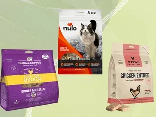 The 7 Best Frozen and Freeze-Dried Raw Cat Food of 2023