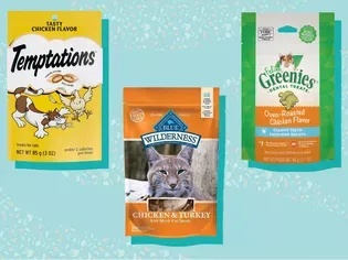 The 10 Best Healthy Cat Treats of 2024