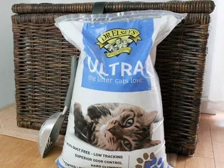 Dr. Elsey's Precious Cat Ultra Clumping Cat Litter Review