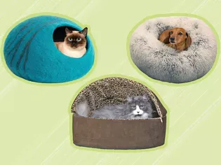 The 12 Best Cat Beds of 2024