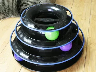 Easyology Amazing Roller Cat Toy Review