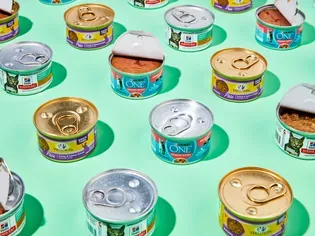 The 8 Best Canned Cat Foods, According to Hundreds of Cats (We Asked Them!)