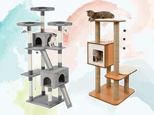 The 11 Best Cat Trees, Tested With Real Cats