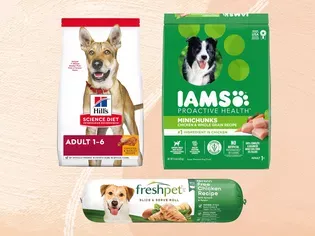 The 7 Best Dog Foods You Can Buy at Walmart, According To 407 Dogs