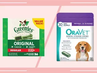 OraVet vs. Greenies: Which Dental Chew Is Better for Your Dog?