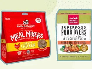 The 8 Best Dog Food Toppers