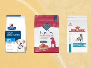 The 7 Best Dog Foods for Allergies, According to 407 Alleviated Dogs And Their Humans