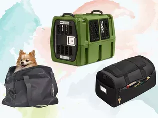 The 6 Best Airline-Approved Pet Carriers of 2024, Tested and Reviewed