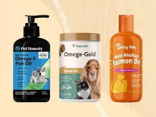 The 10 Best Fish Oils To Enhance Your Dog's Intake Of Essential Nutrients