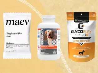 The 10 Best Glucosamine Supplements for Dogs To Support Joint Health