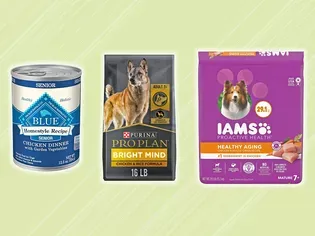 The 9 Best Dog Foods for Older Dogs, According To 407 Dog Parents