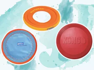 The 11 Best Dog Frisbees and Flying Discs of 2024